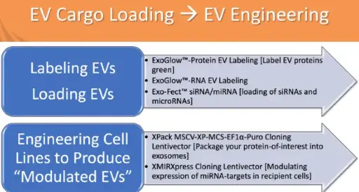 [0322-EXOGM600A-1] ExoGlow-Membrane EV Labeling Test - 25 reactions
