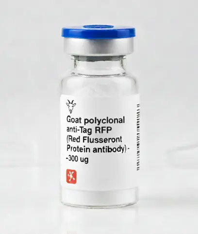 [0894-AB6570-100] Goat polyclonal anti-Tag RFP (Red Fluorescent Protein antibody)